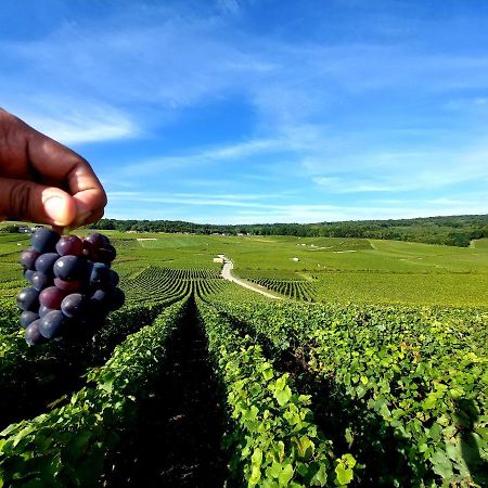 Epernay Capital De Champagne Διαμέρισμα Εξωτερικό φωτογραφία