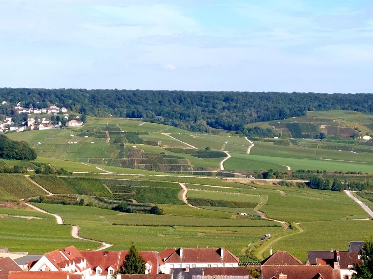 Epernay Capital De Champagne Διαμέρισμα Εξωτερικό φωτογραφία